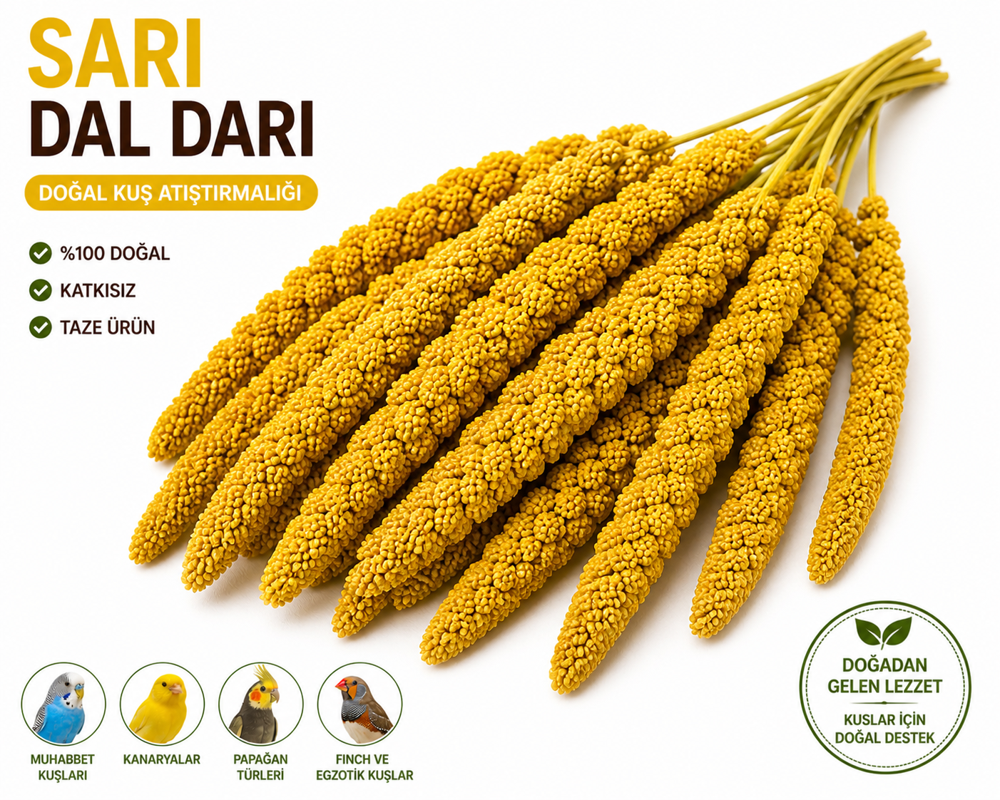 Kuşlar İçin Doğal Sarı Dal Darı 100 gr
