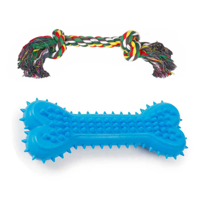 CLZ205 Dental Plastik Köpek Oyuncak + Diş İpi 15 x 22 cm Mavi