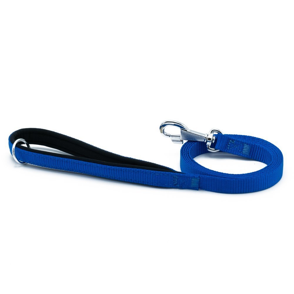 CLZ205  Köpek Gezdirme Kayışı 1,5*160cm Mavi