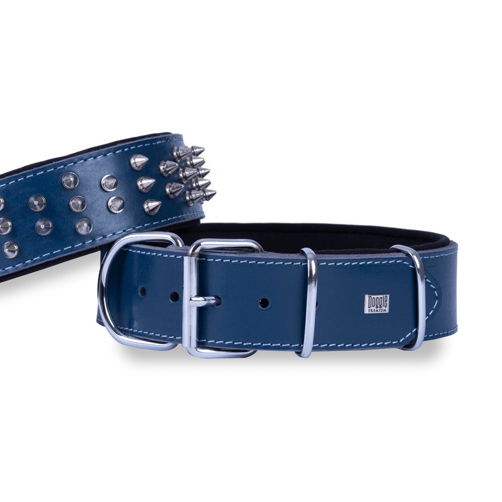 CLZ205  Ektsra Çivili Köpek Boyun Tasması 5x50-60 cm Mavi