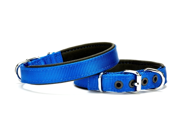 CLZ205 Yumuşak Doku Köpek Boyun Tasması 2,5 cm / 55 cm Mavi