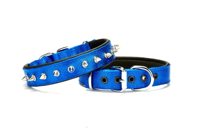 CLZ205  Çivi Desenli Köpek Tasması 2,5*50 cm Mavi