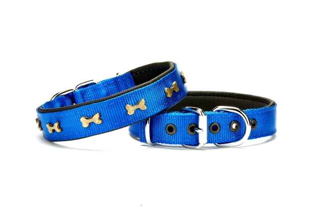 CLZ205  Softlu Kemik Desenli Köpek Tasması 2,5 cm x 50 cm Mavi