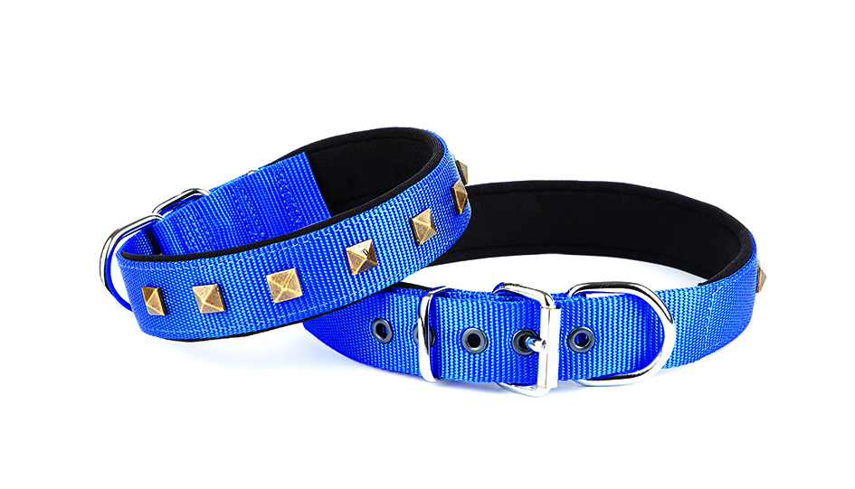 CLZ205  Desenli Köpek Tasması 3*42-50 cm Mavi