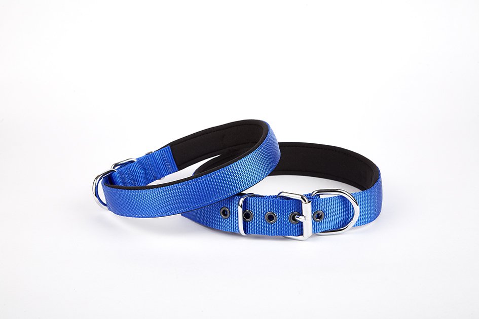 CLZ205  Softlu Köpek Boyun Tasması 3 cm x 55 cm Mavi