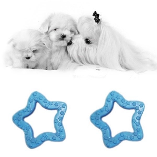CLZ205 Köpek diş bakım oyuncağı yıldız şeklinde 8 cm Mavi
