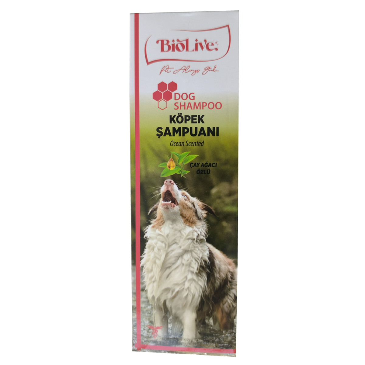 Biolive Çay Ağacı Özlü Köpek Şampuanı 200ml