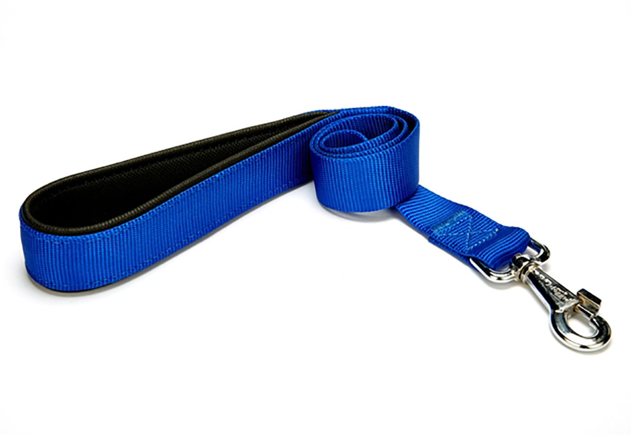 CLZ205  Köpek Gezdirme Kayışı 2,5 cm x 115 cm Mavi