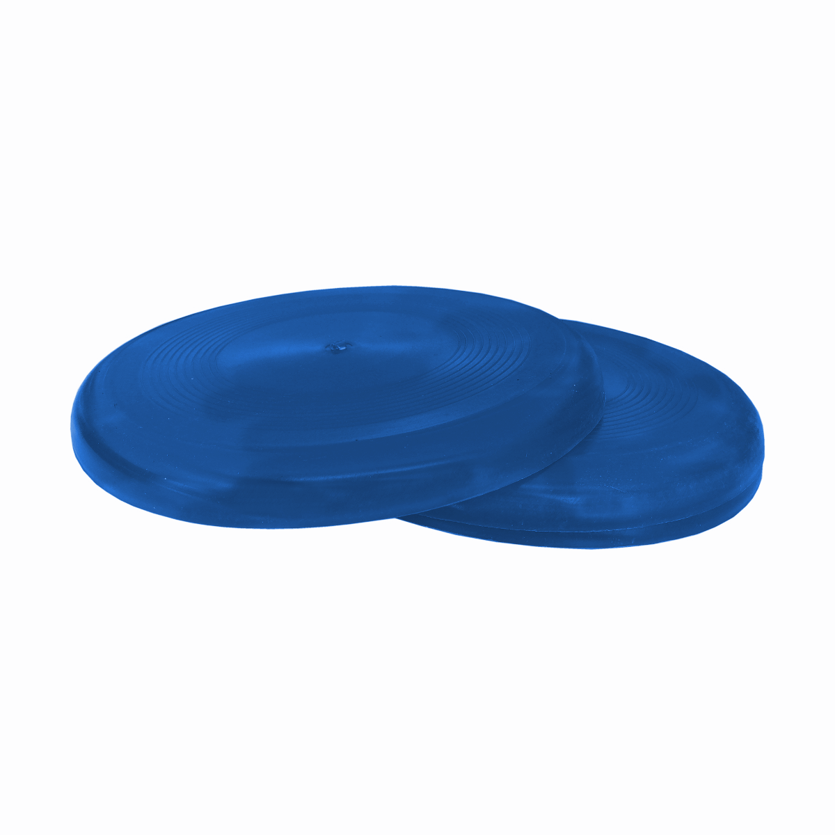 Köpek Eğitim Frizbi Oyuncak 22 cm  Mavi
