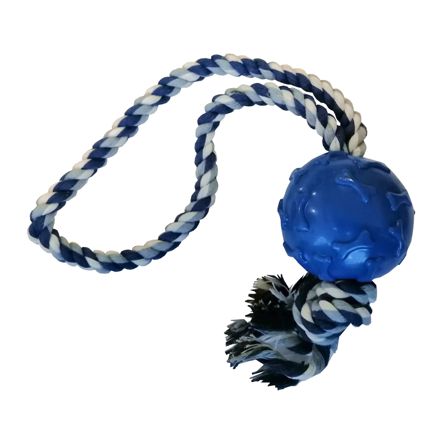 CLZ205  İpli Toplu Dental Köpek Oyun ve Eğitici Topu 6 cm - 30 cm Mavi