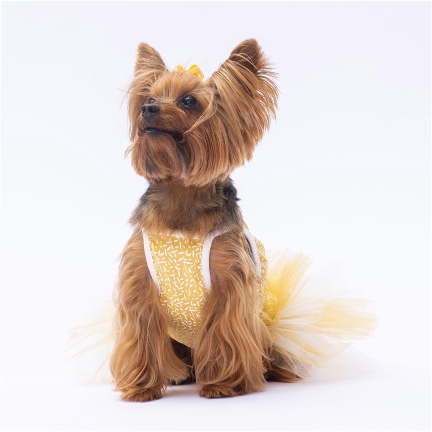 PawStar Yellow Polka-Dot L 30 x 33 x 46 cm