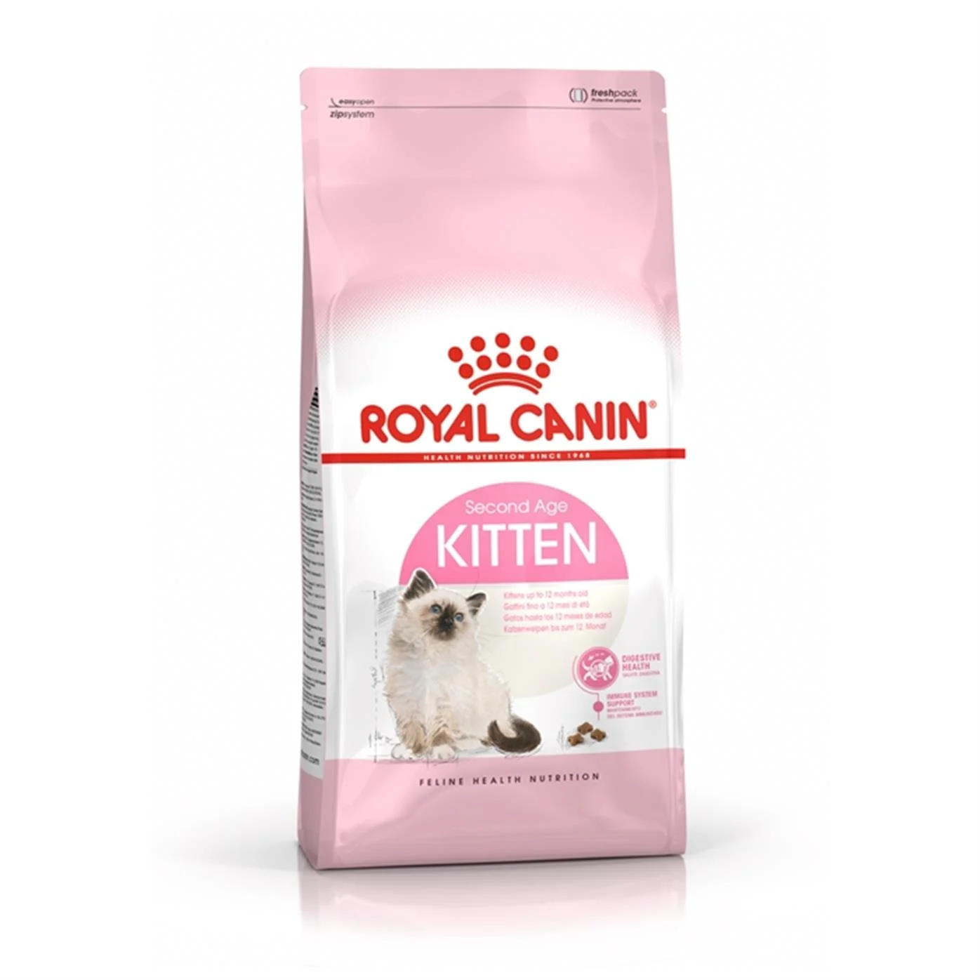 36 Yavru Kedi sı 10 KG 36 Yavru Kedi sı 10 KG