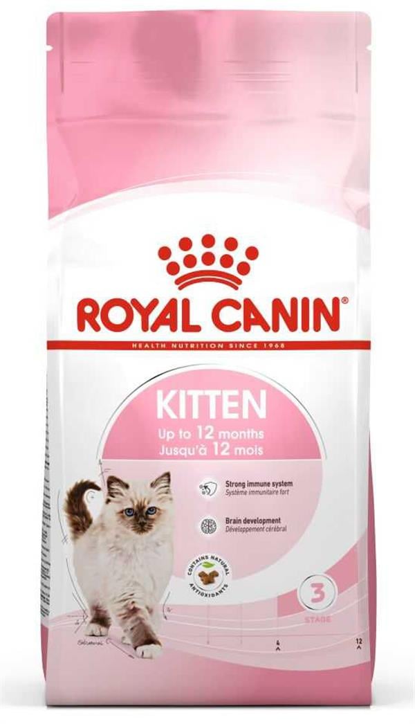 36 Yavru Kedi sı 2 KG 36 Yavru Kedi sı 2 KG