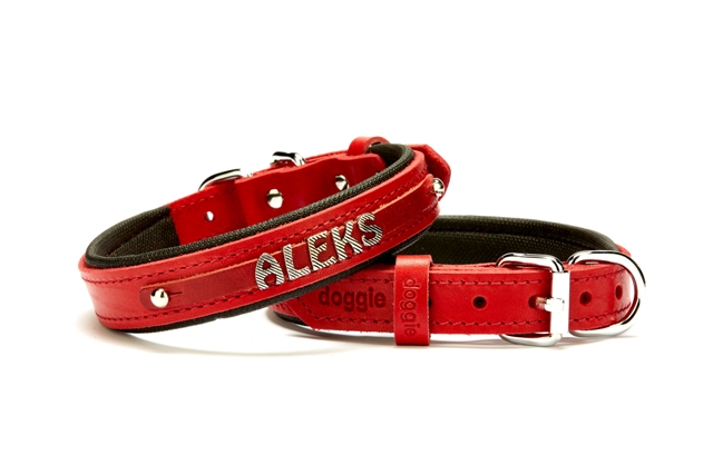 CLZ205  Deri İsimlikli Köpek Tasması 2x35-40 cm Kırmızı