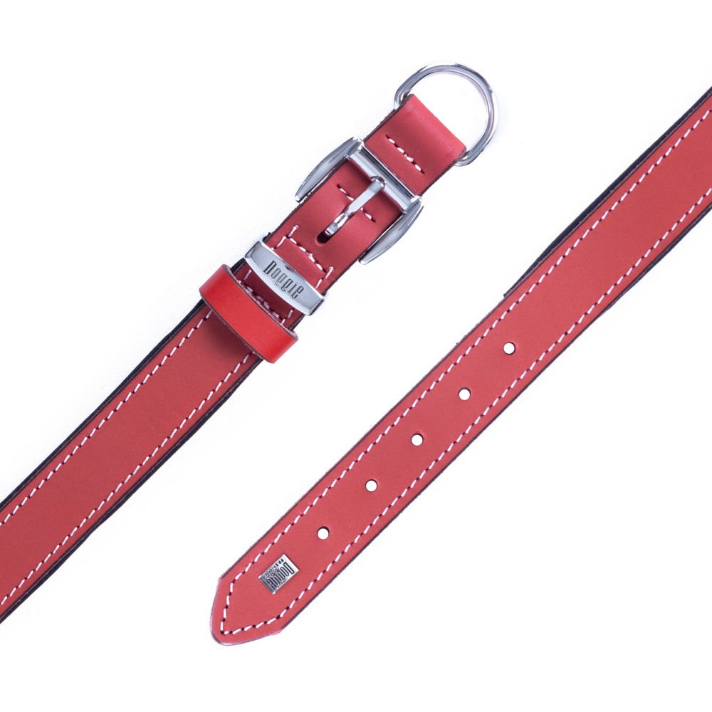 CLZ205  El Yapımı Konforlu Deri Köpek Tasması 2,5x37-45 cm Kırmızı