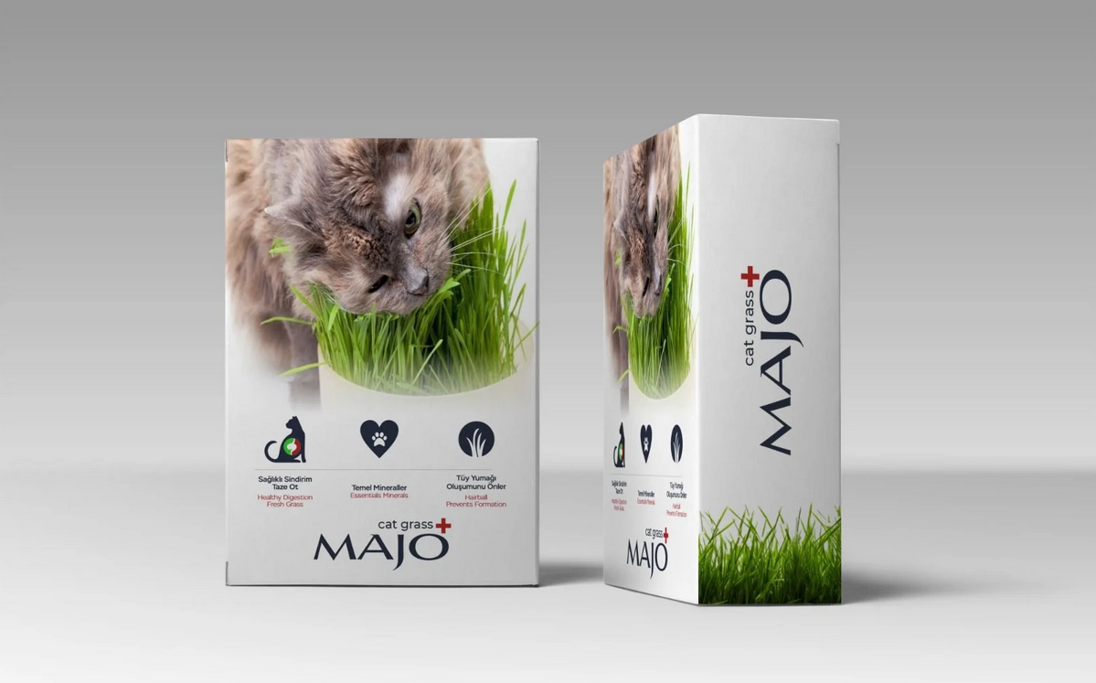 Üç Kullanımlık Naturel Kedi Çimi Yedek Tohumlu