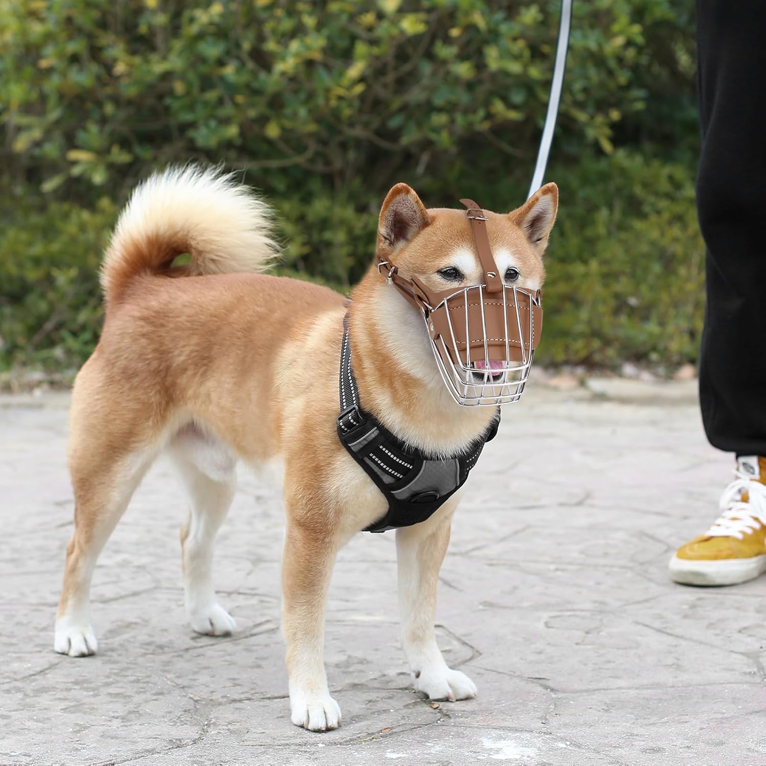 Karamel Metal Deri Köpek Ağızlığı S 30 cm Karamel Metal Deri Köpek Ağızlığı S 30 cm