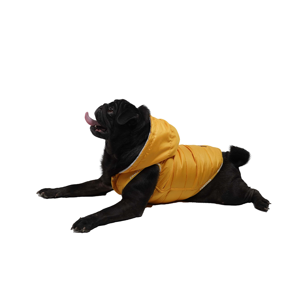 Pawstar Küçük ve Orta Irk Sarı Sport Köpek Yeleği Large 33 Cm