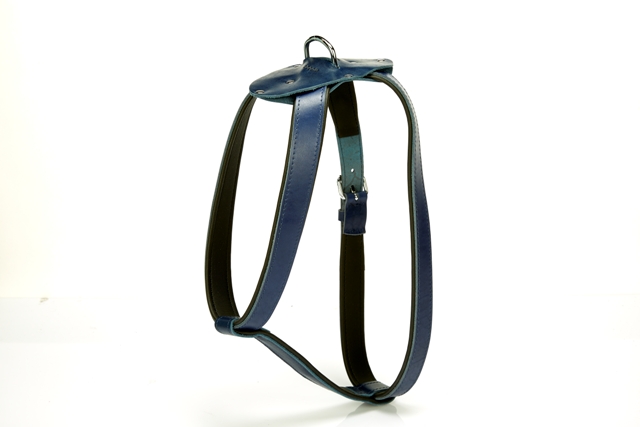 CLZ205  Konforlu Deriden El Yapımı Köpek Göğüs Tasması 1,5 x 30-45 cm Mavi