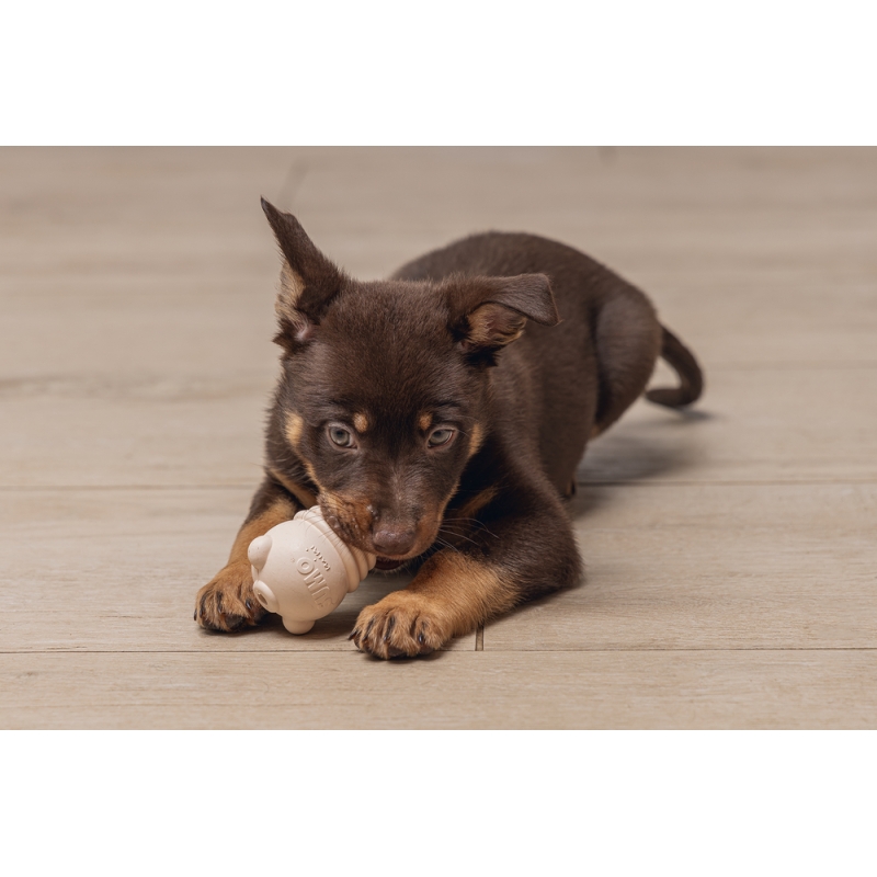 Yavru Köpek Sumo Mını Dental Oyuncak Xs 3-6 kg