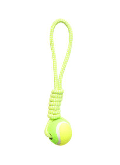 CLZ205  İpli Dental Köpek Oyun ve Eğitici Topu 6 cm - 35 cm Yeşil